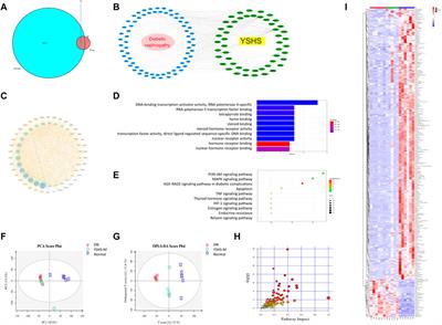 Yishen Huashi Granules Ameliorated the Development of Diabetic Nephropathy by Reducing the Damage of Glomerular Filtration Barrier
